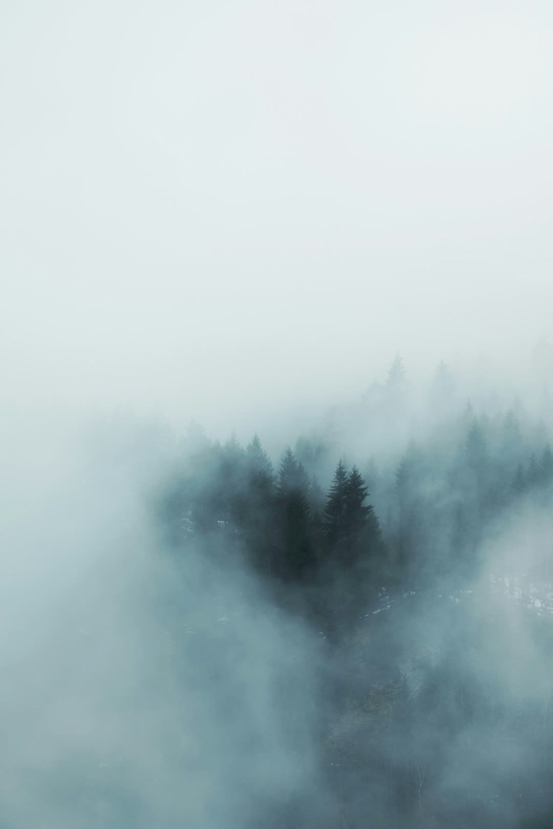 https://static.ws.126.net/163/frontend/images/2022/empty.png